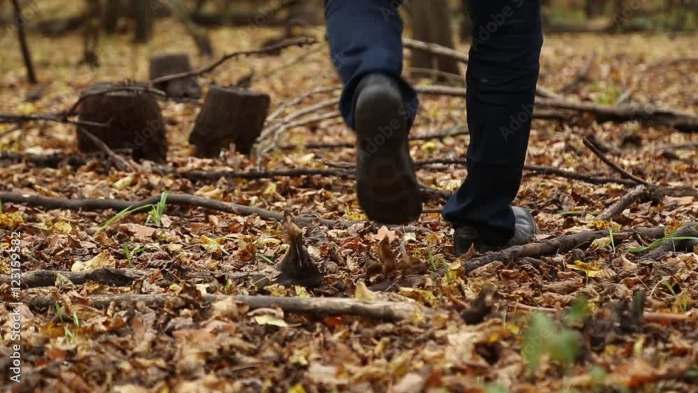 A man walks in autumn forest, fallen yellow leaves lie on the ground, close-up of walking feet
A man walks in autumn forest, fallen yellow leaves lie on the ground, close-up of walking feet