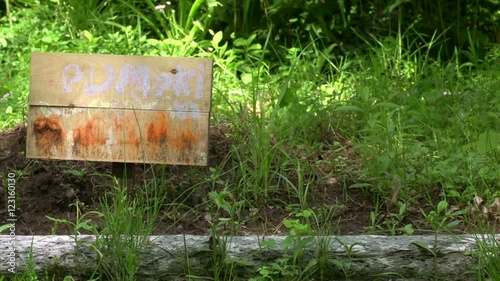 Overgrown Pumpkin Patch