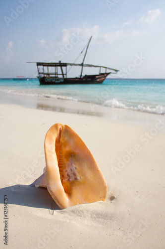Plage de sable blanc de Zanzibar, coquillage et boutre