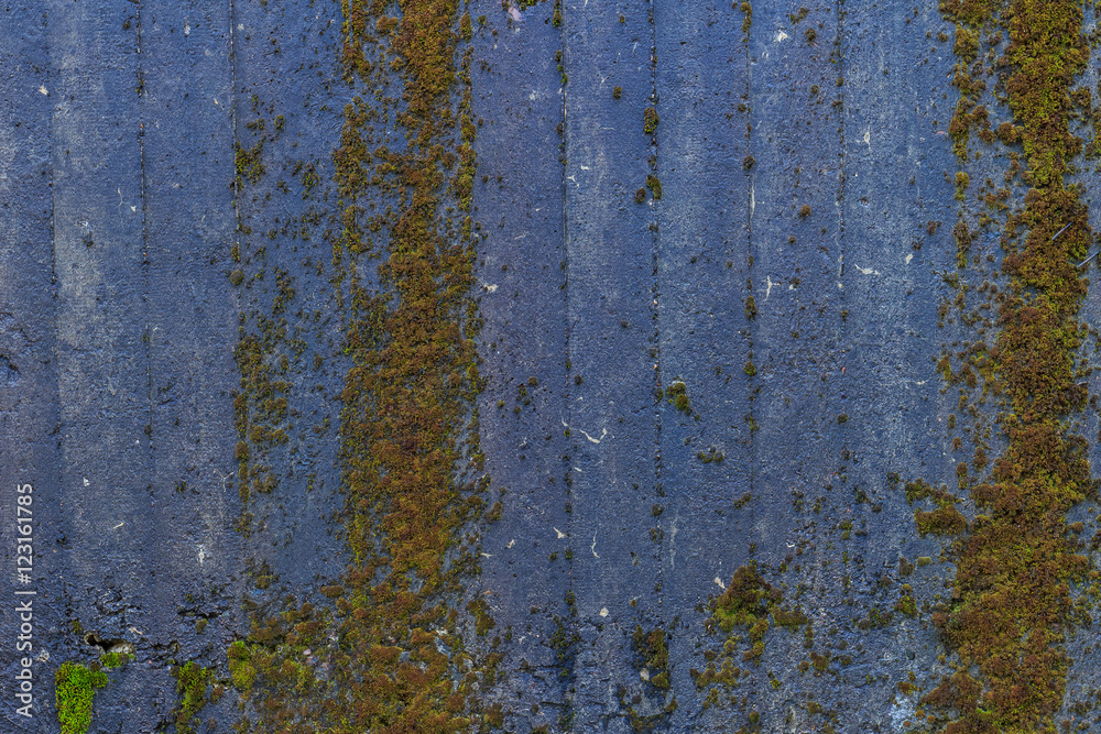 Obraz premium Mossy concrete wall
