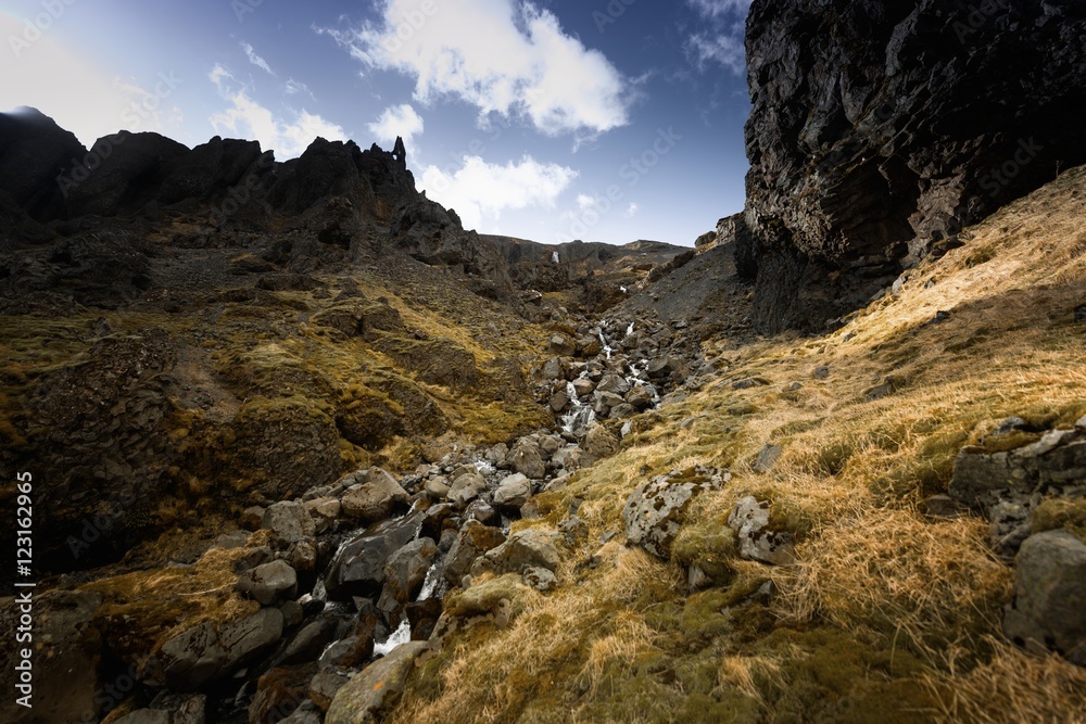 Fototapeta premium Waterfall in Iceland