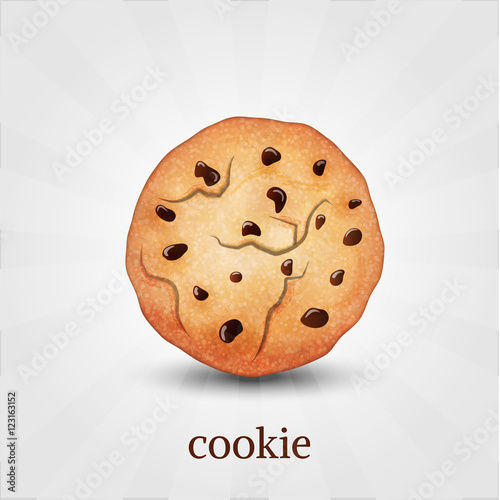 Chocolate cookie. Vector illustration