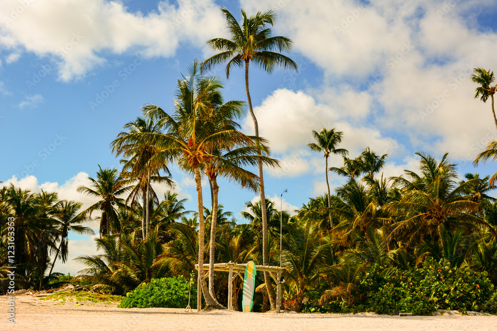 A caribbean beach with a surfboard and palm trees
