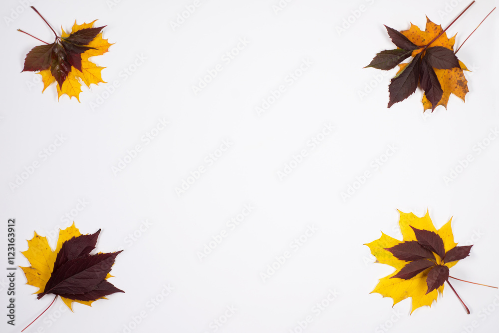 Frame composed of colorful autumn leaves. Frame composed of colorful autumn leaves.