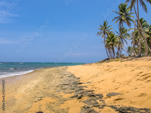 The wild and remote Playa Rincon near Las Galeras in Samana Peninsula. The spectacular, wild and remote Caribbean beach of Playa Rincon is one of the most beautiful in Dominican Republic.