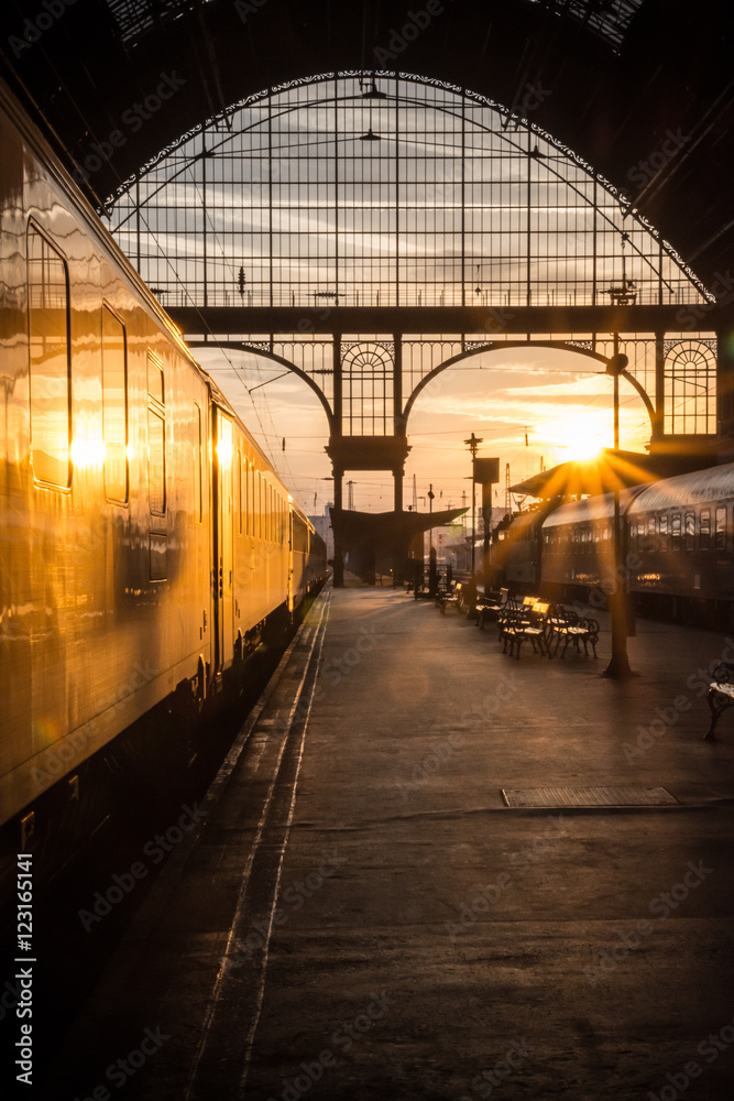 Fototapeta premium The golden train to neverland