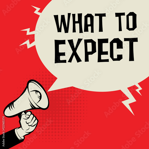 Megaphone Hand, business concept with text What To Expect