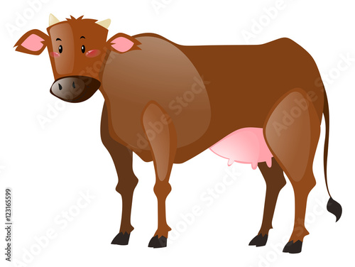 Cow with brown fur