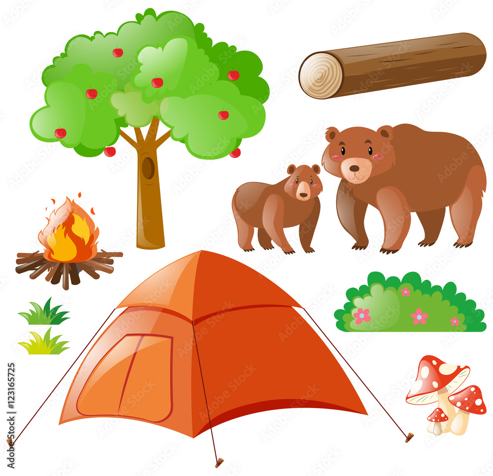 Fototapeta premium Bears and camping elements