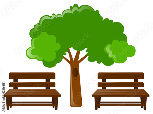 Two wooden seats and tree
