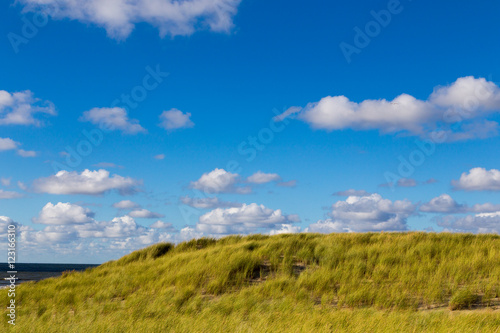 Grassy dunes at the beach on Texel  Netherlands.