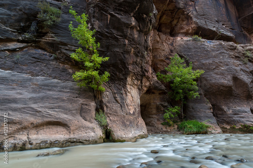 Zion National Park