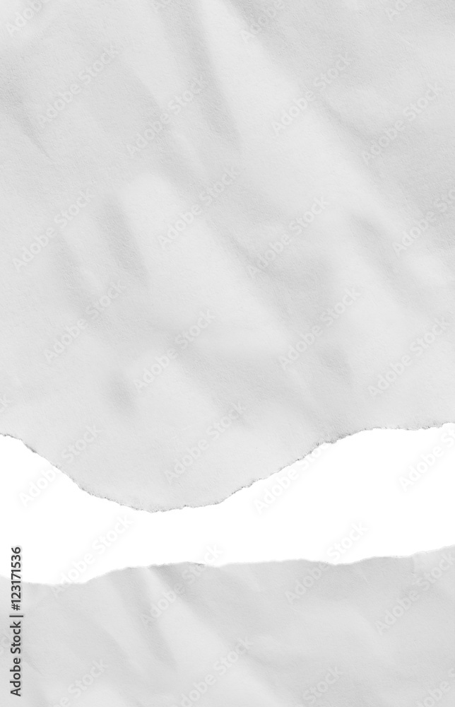Piece of torn paper, space for copy Piece of torn paper, space for copy