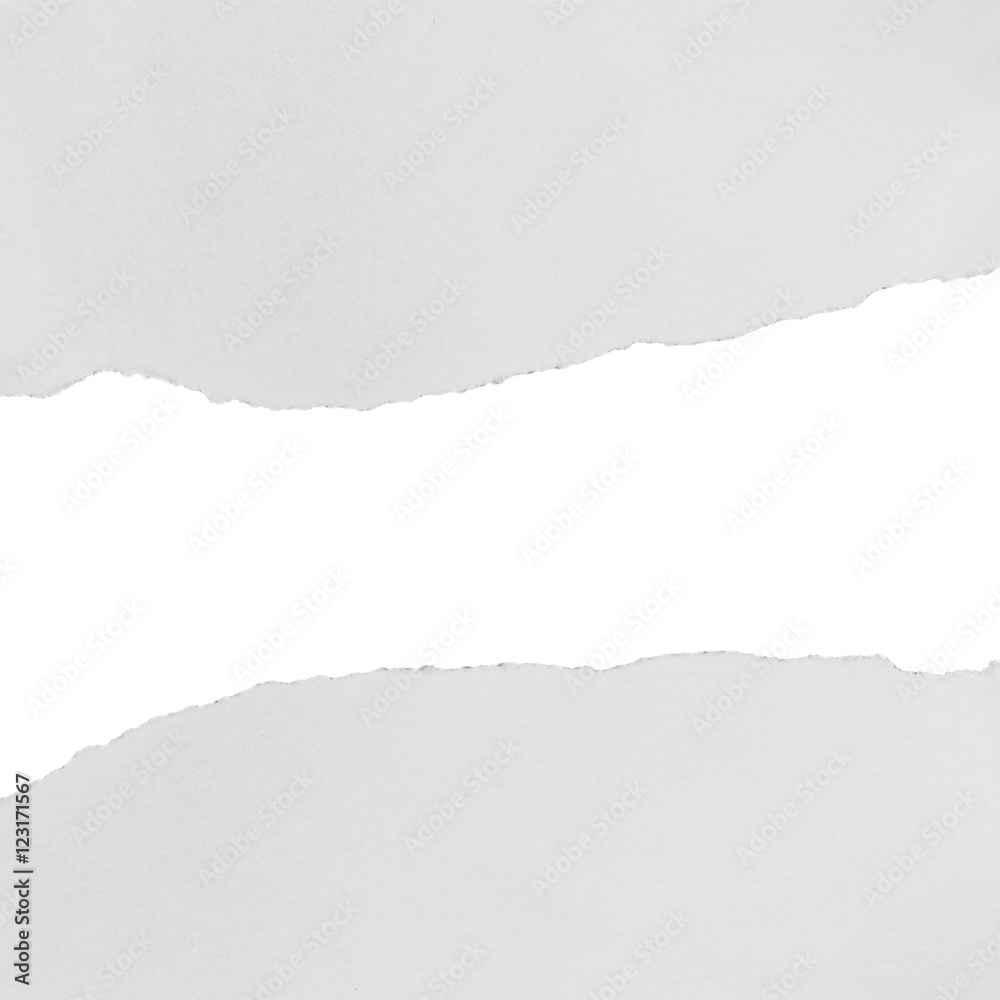 Piece of torn paper, space for copy Piece of torn paper, space for copy