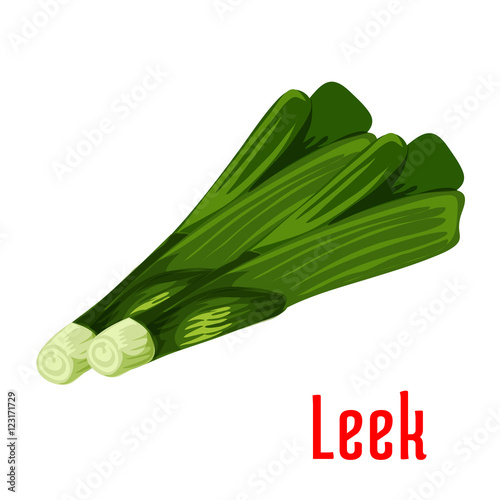 Leek vegetable plant icon