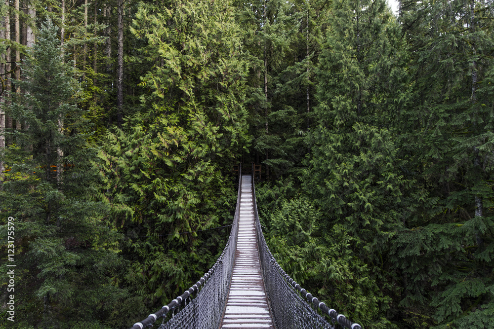 Naklejka premium Most wiszący w lesie. Zimozielony. Natura Vancouver. Północno-zachodni Pacyfik. Natura. Krajobraz Vancouver.