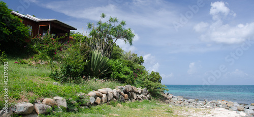 Green slopes on the southern of calm  Cocobay beach photo