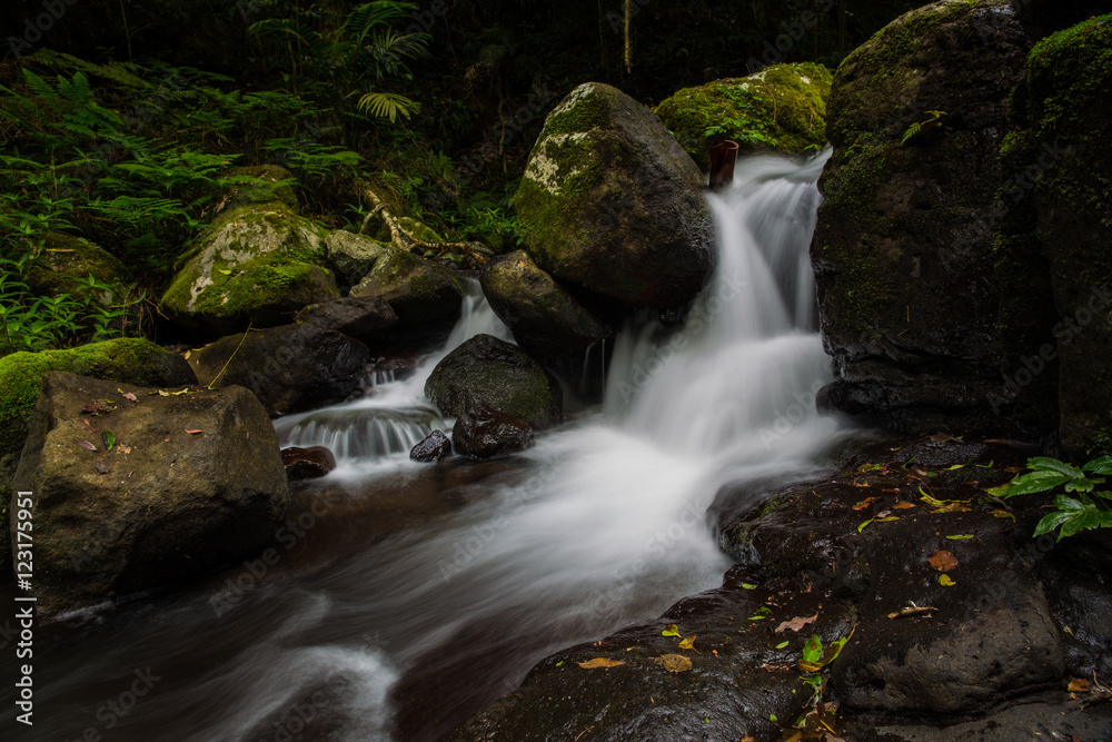 Gold Coast and Tweed Coast hinterland waterfalls