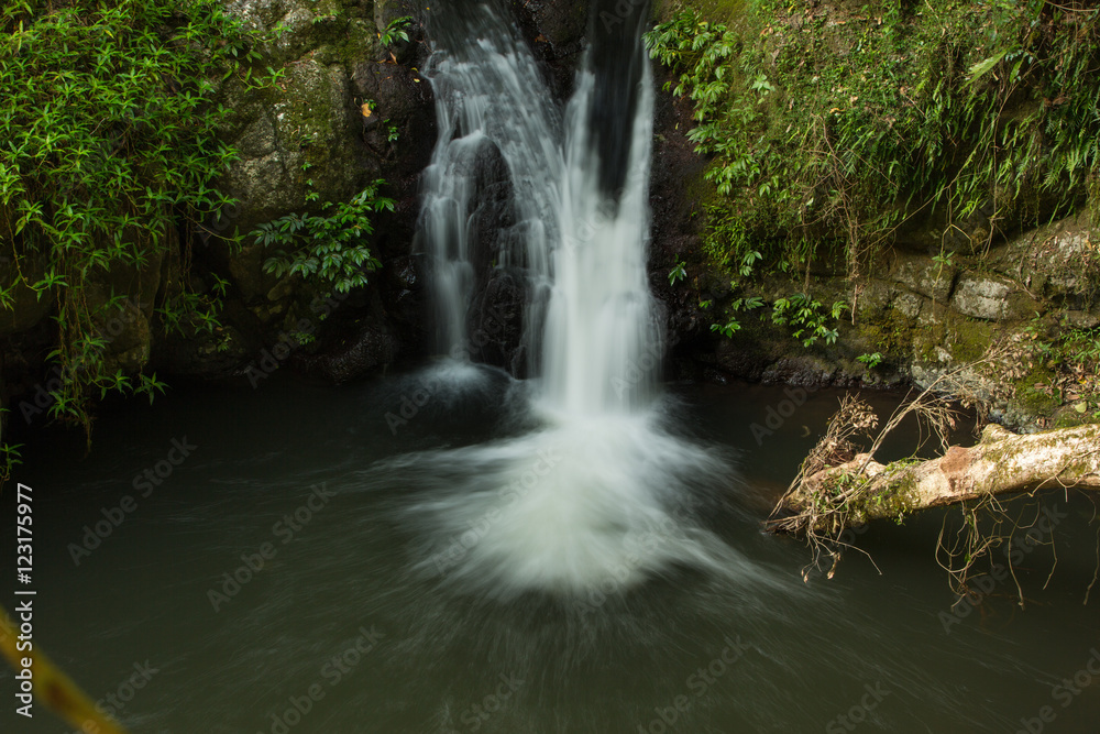 Naklejka premium Gold Coast and Tweed Coast hinterland waterfalls