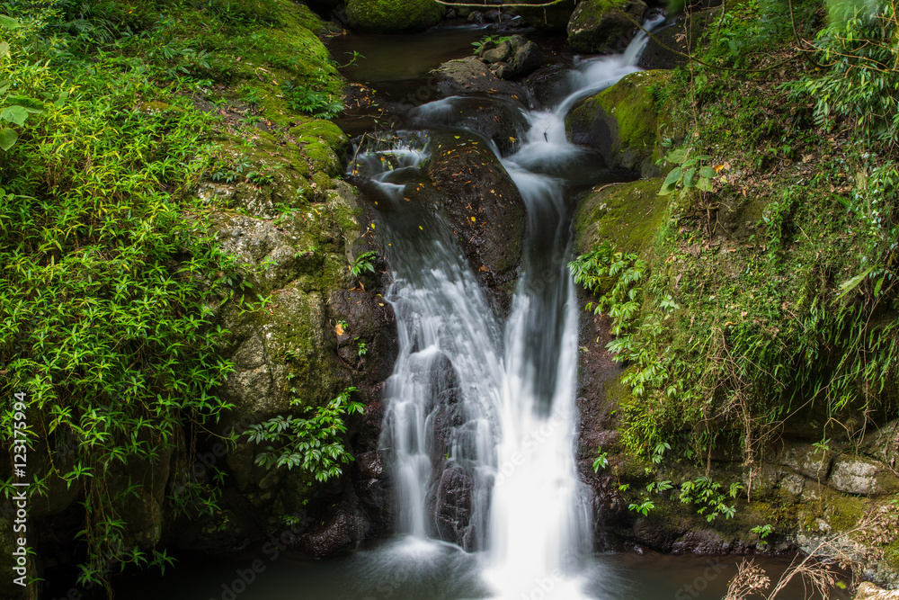 Gold Coast and Tweed Coast hinterland waterfalls Gold Coast and Tweed Coast hinterland waterfalls
