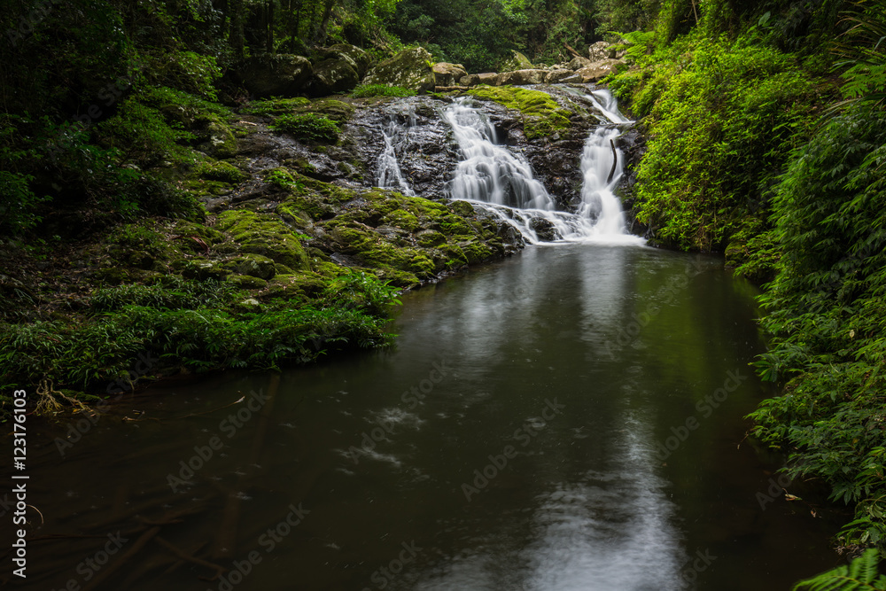 Fototapeta premium Gold Coast and Tweed Coast hinterland waterfalls