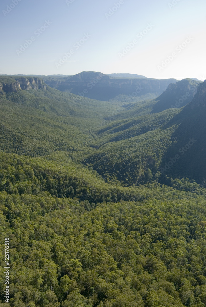 Tree lined valley in the Blue Mountains