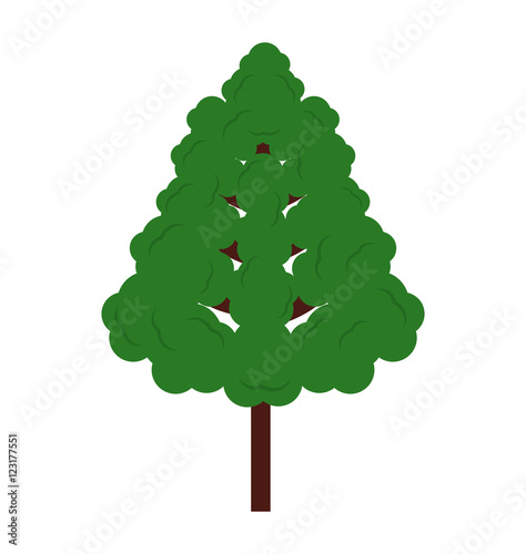 tree plant forest isolated icon vector illustration design © Gstudio