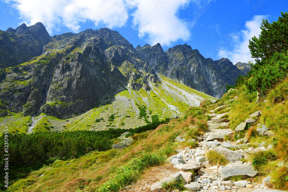Beautiful summer mountain landscape in Western Carpathians, Hiking trail in Mengusovska Valley in Vysoke Tatry (High Tatras), Slovakia.