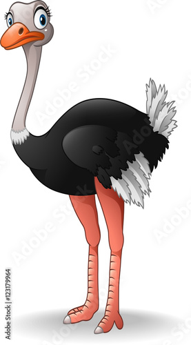 Cute ostrich cartoon