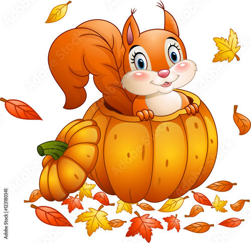 Cute squirrel in a pumpkin
