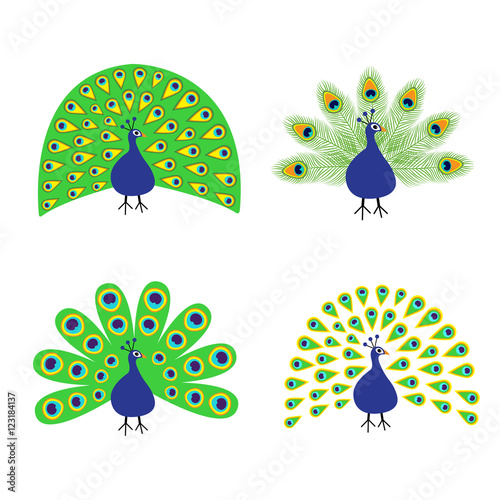 Peacock set. Feather out open tail. Beautiful Exotic tropical bird. Zoo animal collection. Cute cartoon character. Decoration element. Flat design. White background. Isolated