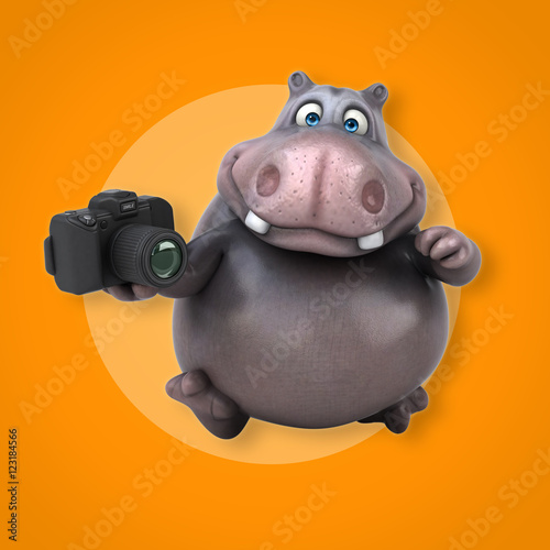 Hippo