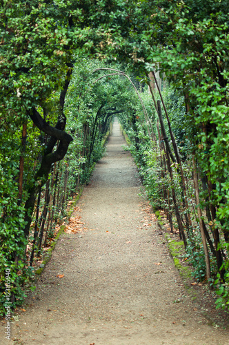 Beautiful romantic path hiden by trees in the Boboli gardens (Florence, Italy), one of the first formal 16th-century Italian parks, touristic place