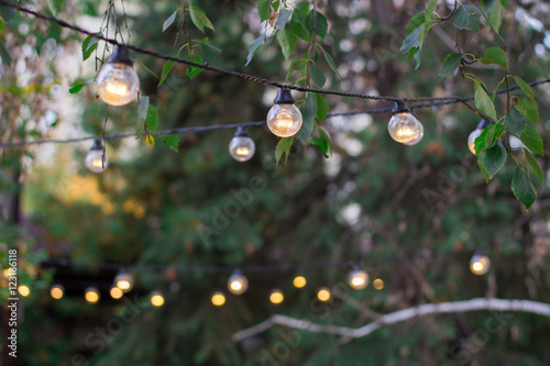 Decorative electric festoon of lighting bulbs hangs among tree b