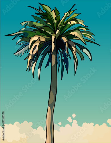 cartoon drawn tall sprawling decorative palm tree