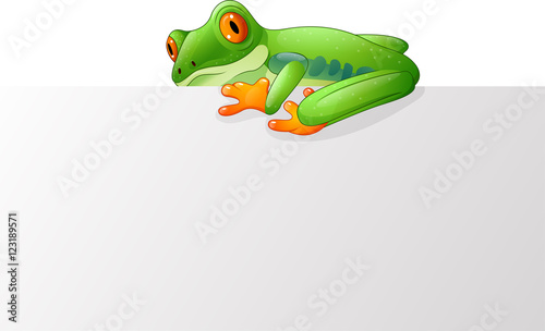 Cute frog on the blank sign