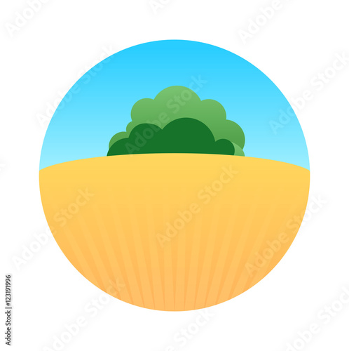 Field at Sunny Day
