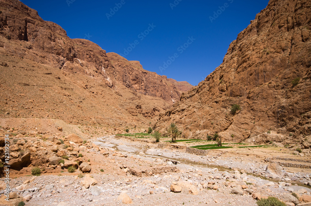 Fototapeta premium Todra gorge in Morocco