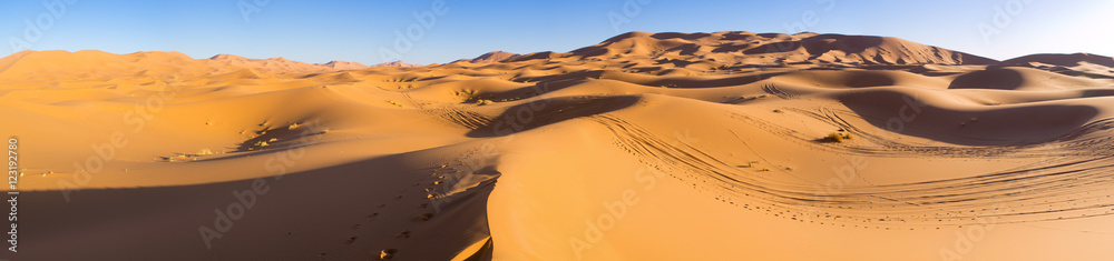Sahara desert in Morocco - obrazy, fototapety, plakaty 