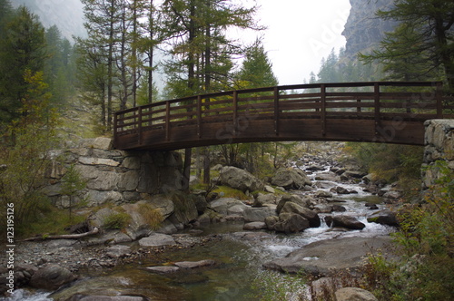 Ponte in legno photo