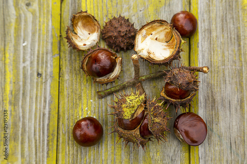 Chestnuts. Close-up