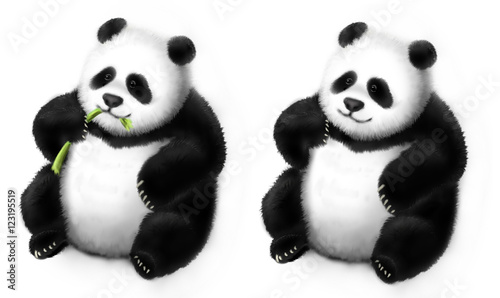 panda