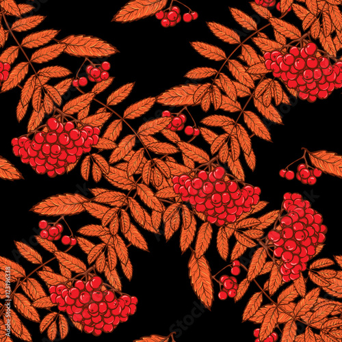 Autumn rowanberry leaves and berries. Detailed intricate hand drawing. Chaotic distribution of elements. Red on black seamless pattern. EPS10 vector illustration.