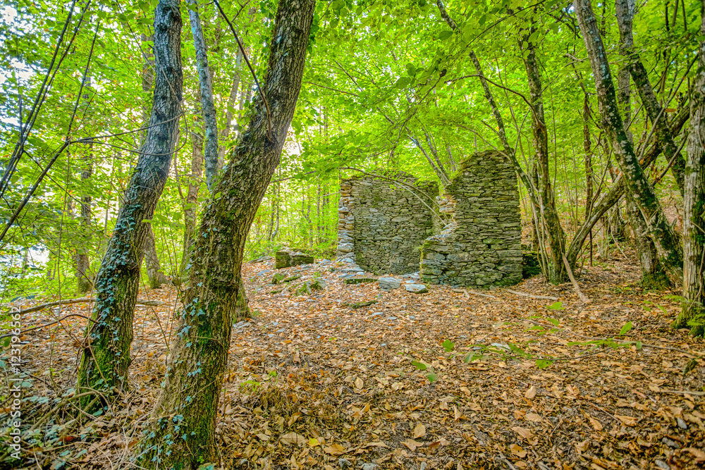 Fototapeta premium Abandoned house in the woods / old house / isolated / stone house / autumn / forest / fallen leaves