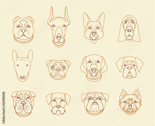 Popular breeds of dogs. 12 linear icons isolated