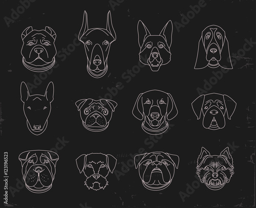 Popular breeds of dogs. 12 linear icons isolated on black