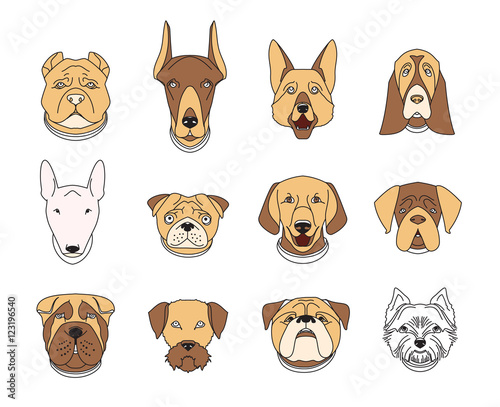 Popular breeds of dogs. 12 linear colorful icons isolated on white