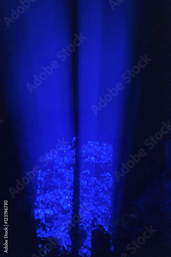 Blue projector light in night, on a tree, through window pane © matousekfoto