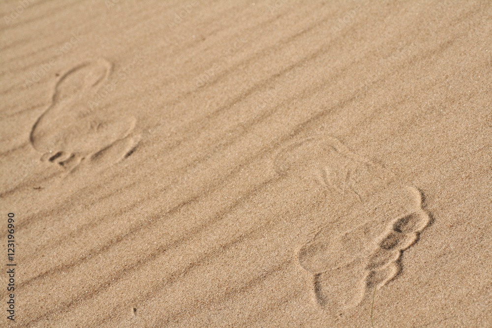The human foot on the sand 2 The human foot on the sand 2