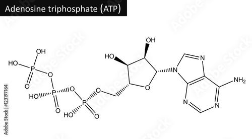 Molecular structure adenosine triphosphate (ATP) photo